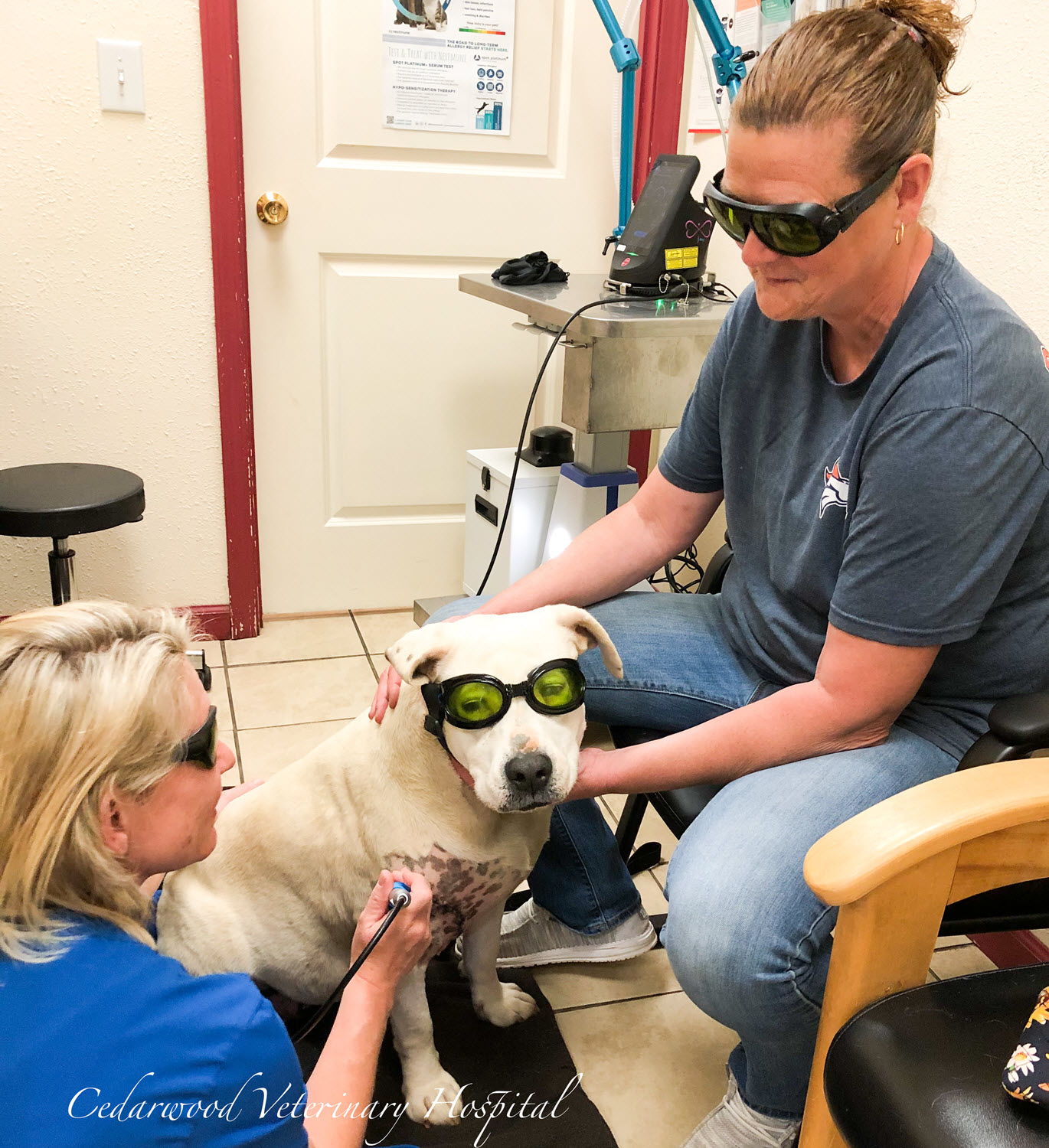 Laser Therapy to promote healing