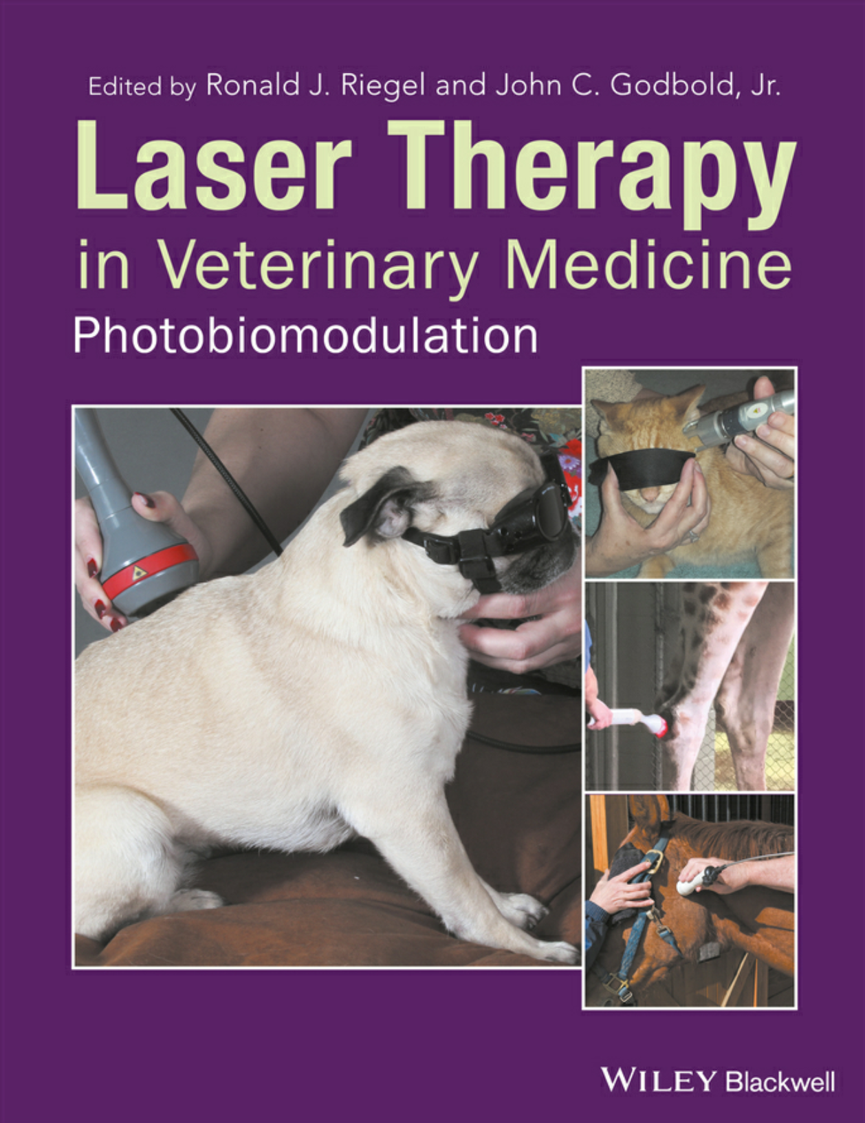 Laser Therapy in Veterinary Medicine: Photobiomodulation