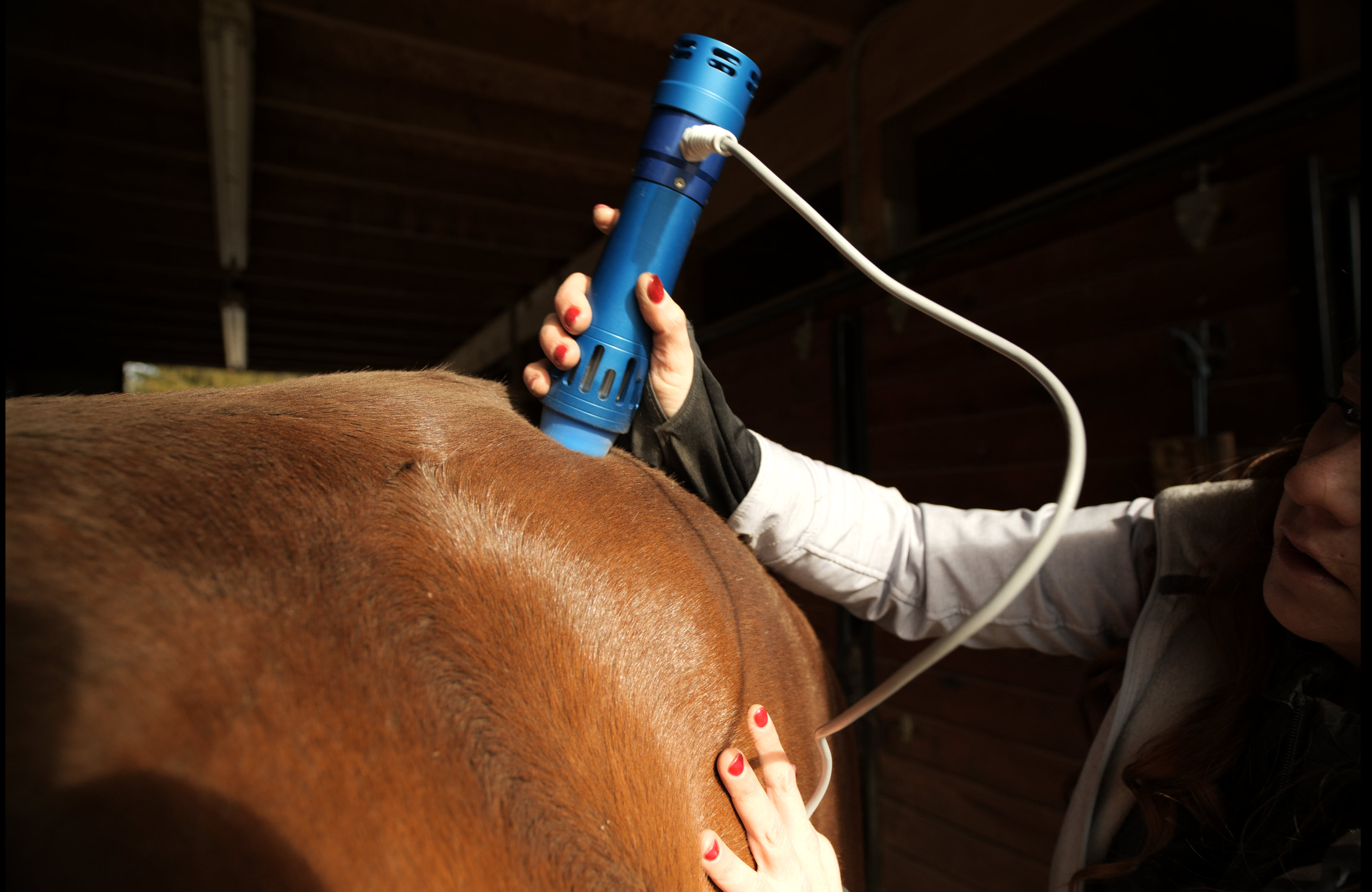 KEPE treating a horse