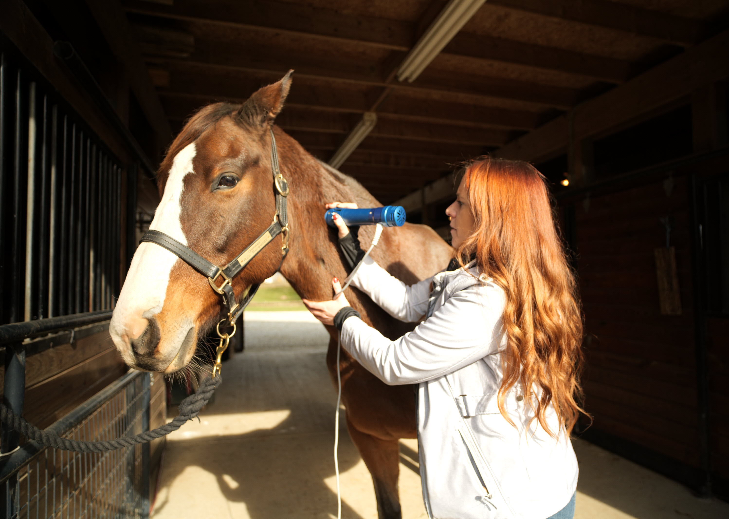 The KEPE treating a horse's neck