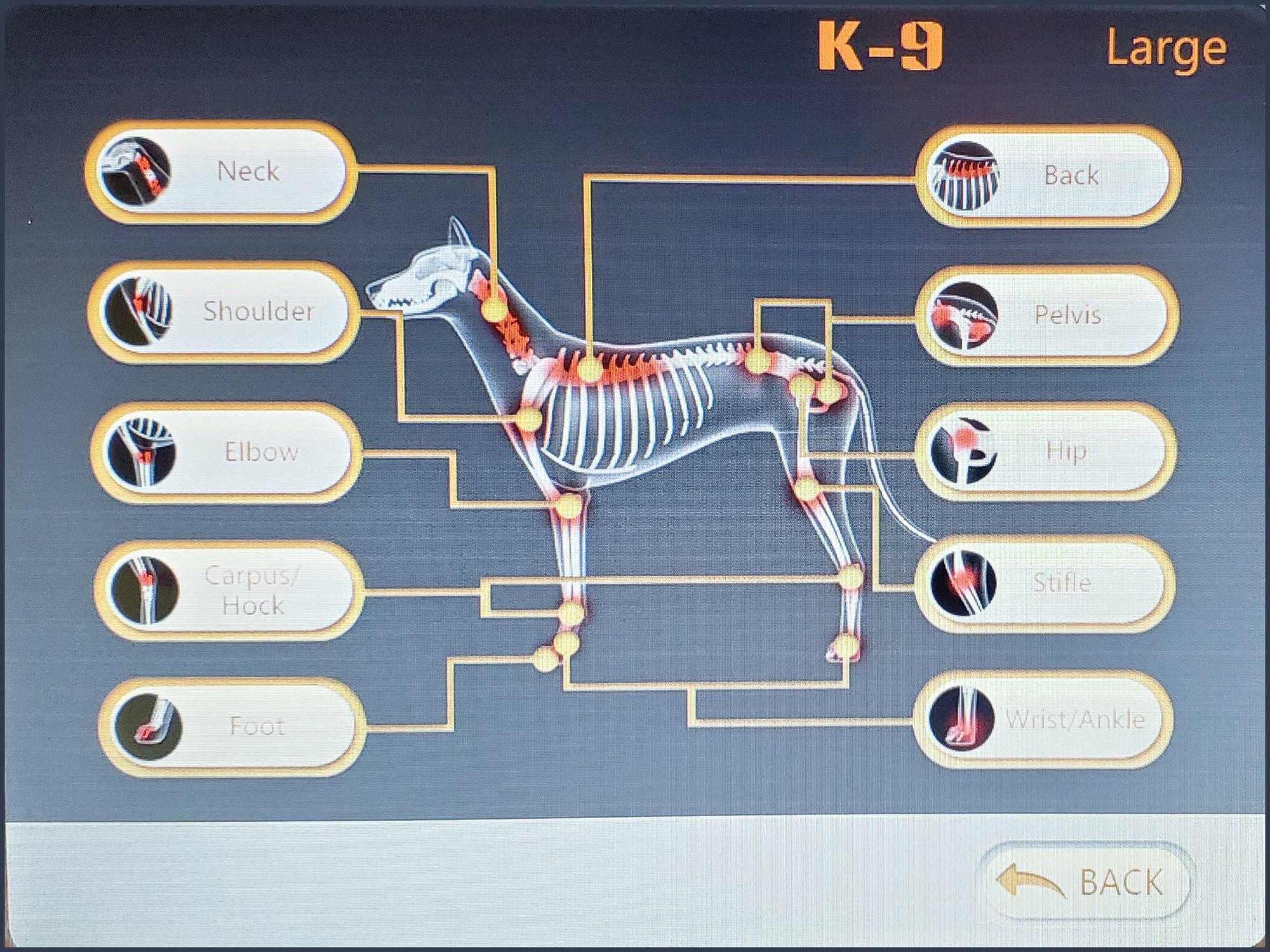 KEPE User Interface for Canine IAWT Protocols