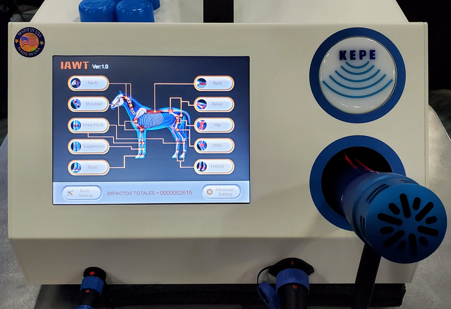 KEPE User Interface for Equine IAWT Protocols