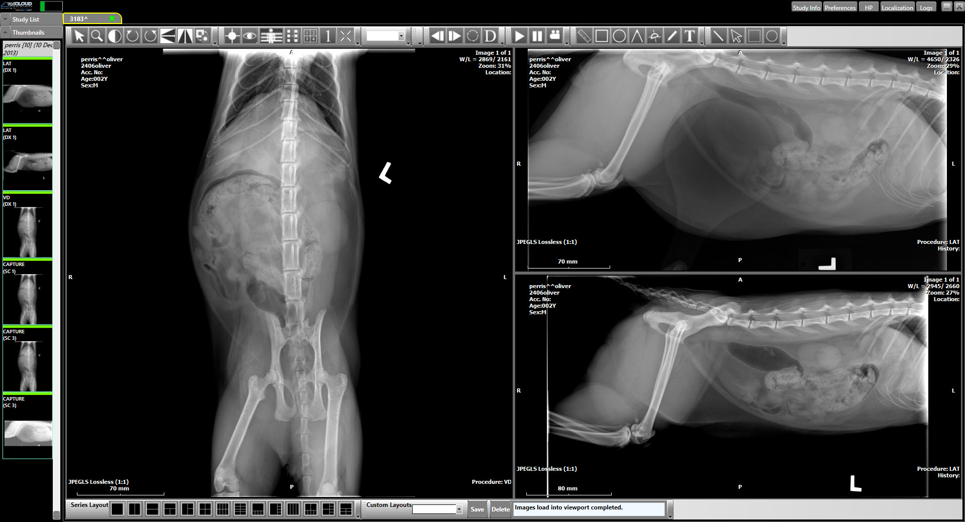 QUICKPACS DICOM Viewer